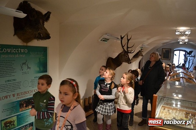 Zdjęcie w galerii na portalu naszraciborz.pl: Dotknęły zęba mamuta i czaszki wilka wiadomości z regionu