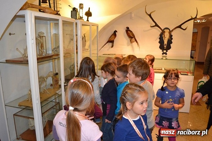 Zdjęcie w galerii na portalu naszraciborz.pl: Dotknęły zęba mamuta i czaszki wilka wiadomości z regionu