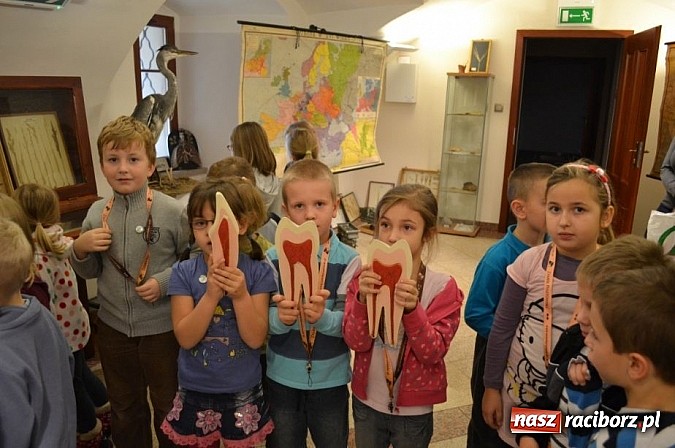 Zdjęcie w galerii na portalu naszraciborz.pl: Dotknęły zęba mamuta i czaszki wilka wiadomości z regionu