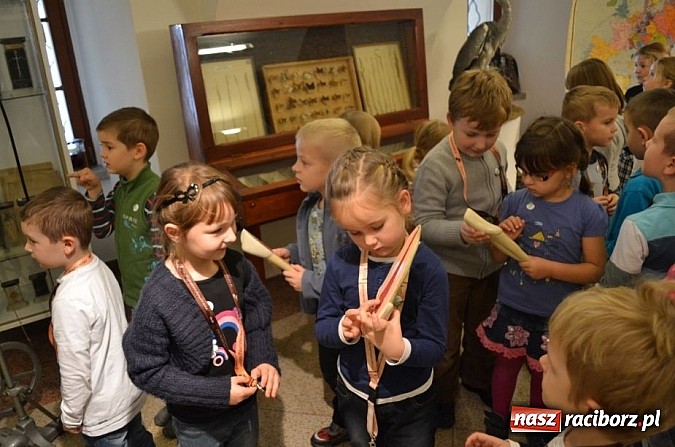 Zdjęcie w galerii na portalu naszraciborz.pl: Dotknęły zęba mamuta i czaszki wilka wiadomości z regionu