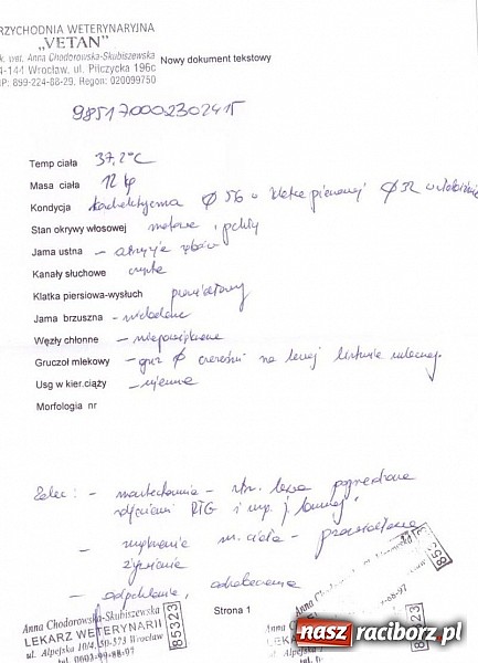 Zdjęcie w galerii na portalu naszraciborz.pl: Prezes Towarzystwa Opieki nad Zwierzętami we Wrocławiu dystansuje się od afery? wiadomości z regionu