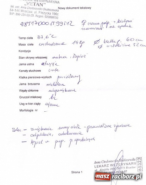 Zdjęcie w galerii na portalu naszraciborz.pl: Prezes Towarzystwa Opieki nad Zwierzętami we Wrocławiu dystansuje się od afery? wiadomości z regionu