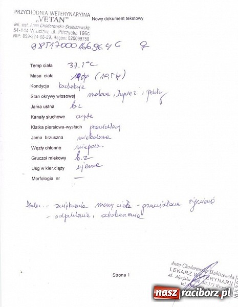 Zdjęcie w galerii na portalu naszraciborz.pl: Prezes Towarzystwa Opieki nad Zwierzętami we Wrocławiu dystansuje się od afery? wiadomości z regionu