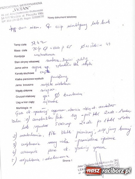 Zdjęcie w galerii na portalu naszraciborz.pl: Prezes Towarzystwa Opieki nad Zwierzętami we Wrocławiu dystansuje się od afery? wiadomości z regionu