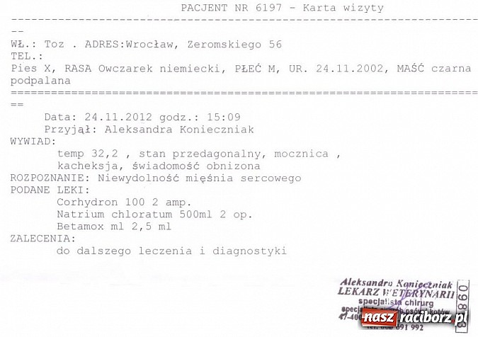 Zdjęcie w galerii na portalu naszraciborz.pl: Prezes Towarzystwa Opieki nad Zwierzętami we Wrocławiu dystansuje się od afery? wiadomości z regionu