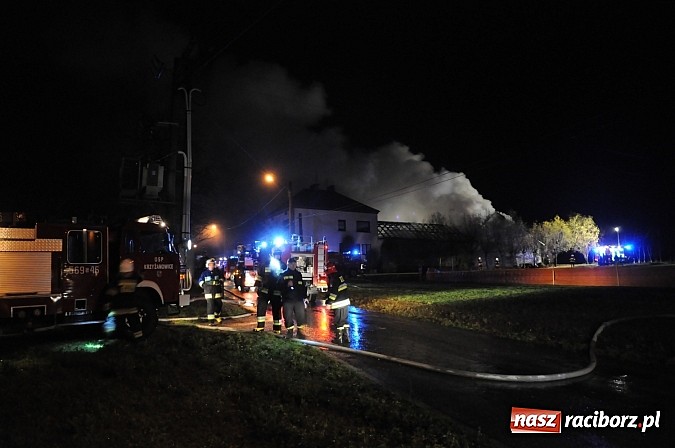 Zdjęcie w galerii na portalu naszraciborz.pl: Pożar gospodarstwa rolnego w Bolesławiu. 45 tys. zł strat. Uratowano mienie za 300 tys. zł wiadomości z regionu