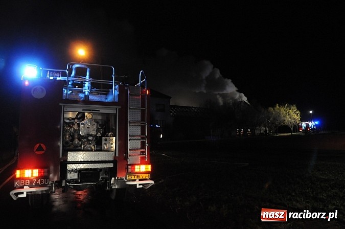 Zdjęcie w galerii na portalu naszraciborz.pl: Pożar gospodarstwa rolnego w Bolesławiu. 45 tys. zł strat. Uratowano mienie za 300 tys. zł wiadomości z regionu