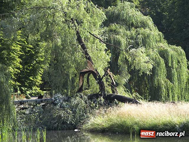 Zdjęcie w galerii na portalu naszraciborz.pl: Fontanny już działają wiadomości z regionu