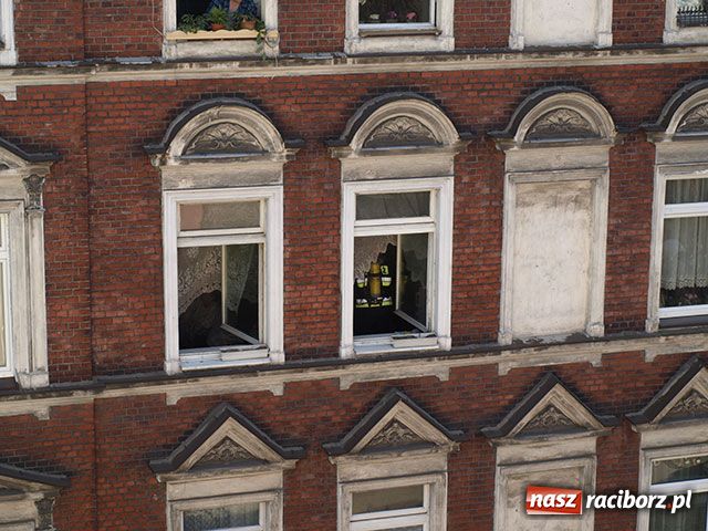 Zdjęcie w galerii na portalu naszraciborz.pl: Kurczak na gazie wiadomości z regionu