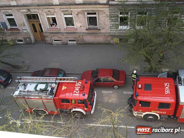 Zdjęcie w galerii na portalu naszraciborz.pl: Kurczak na gazie wiadomości z regionu