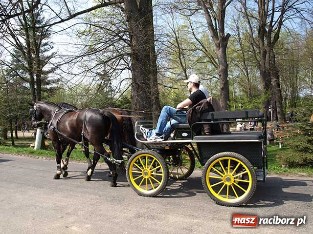 Zdjęcie w galerii na portalu naszraciborz.pl: Procesja gigant wiadomości z regionu