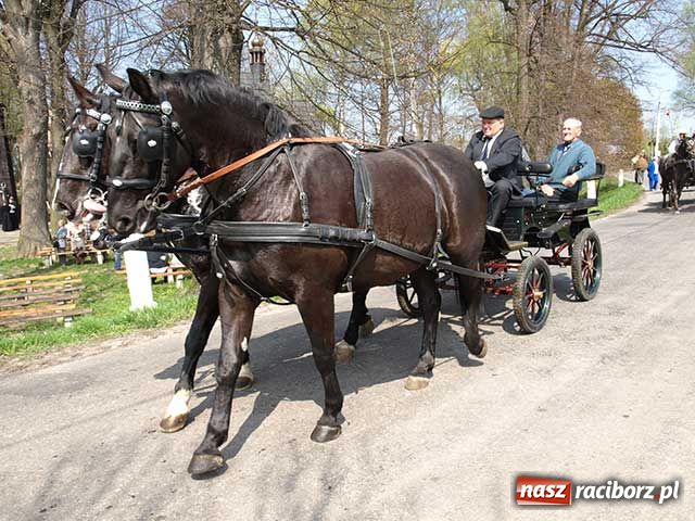 Zdjęcie w galerii na portalu naszraciborz.pl: Procesja gigant wiadomości z regionu