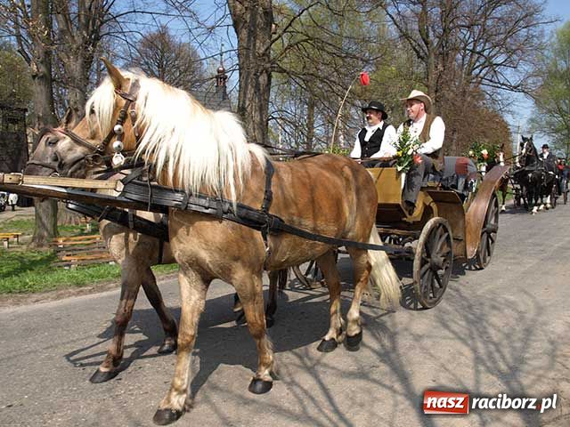 Zdjęcie w galerii na portalu naszraciborz.pl: Procesja gigant wiadomości z regionu