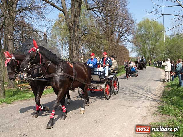 Zdjęcie w galerii na portalu naszraciborz.pl: Procesja gigant wiadomości z regionu