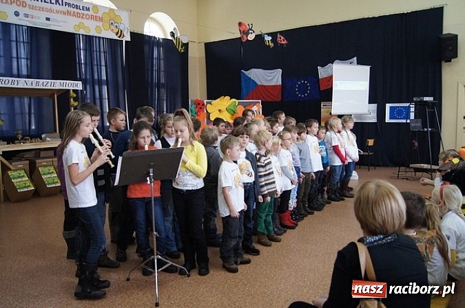 Zdjęcie w galerii na portalu naszraciborz.pl: Mały owad, wielki problem wiadomości z regionu