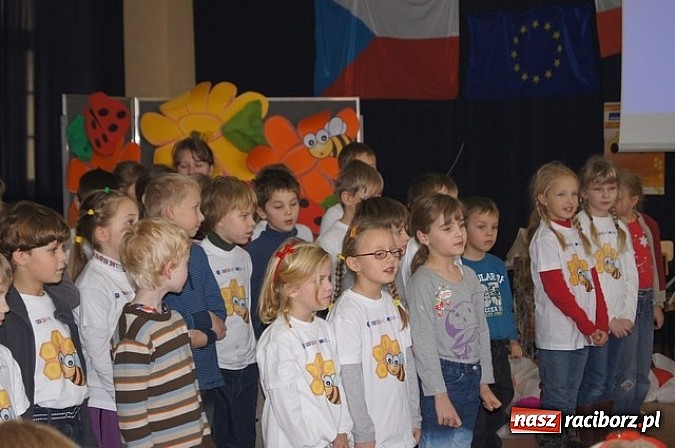 Zdjęcie w galerii na portalu naszraciborz.pl: Mały owad, wielki problem wiadomości z regionu