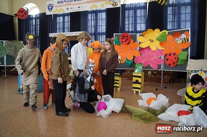 Zdjęcie w galerii na portalu naszraciborz.pl: Mały owad, wielki problem wiadomości z regionu