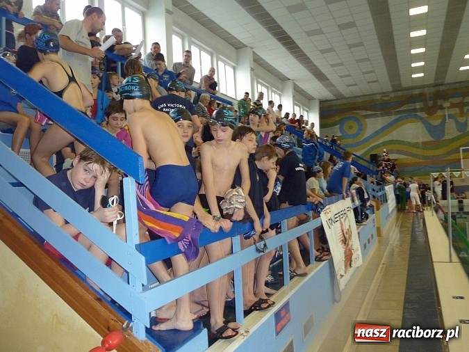 Zdjęcie w galerii na portalu naszraciborz.pl: Pływanie: Międzynarodowy Mikołaj na pływalni SMS-u wiadomości z regionu