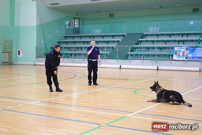 Zdjęcie w galerii na portalu naszraciborz.pl: I Zimowy Turniej Bezpieczeństwa Ruchu Drogowego wiadomości z regionu