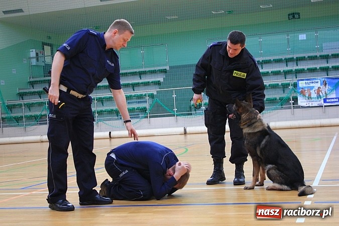 Zdjęcie w galerii na portalu naszraciborz.pl: I Zimowy Turniej Bezpieczeństwa Ruchu Drogowego wiadomości z regionu
