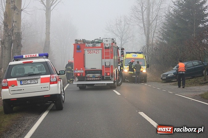 Zdjęcie w galerii na portalu naszraciborz.pl: Wypadek na trasie Markowice-Babice. Jedna osoba przewieziona do szpitala wiadomości z regionu