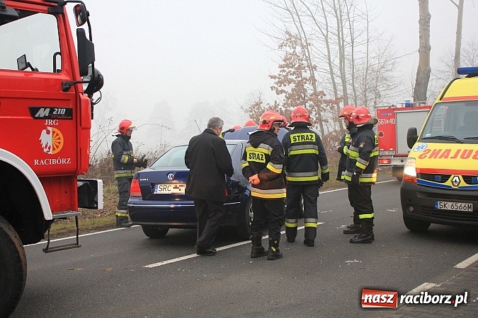 Zdjęcie w galerii na portalu naszraciborz.pl: Wypadek na trasie Markowice-Babice. Jedna osoba przewieziona do szpitala wiadomości z regionu