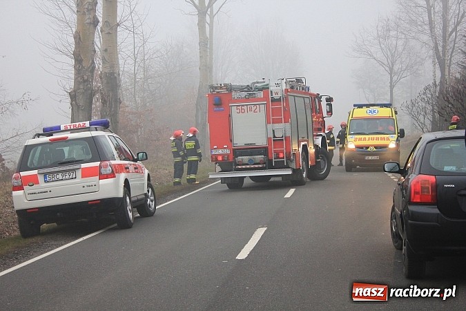 Zdjęcie w galerii na portalu naszraciborz.pl: Wypadek na trasie Markowice-Babice. Jedna osoba przewieziona do szpitala wiadomości z regionu