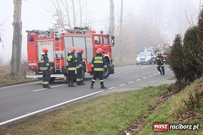 Zdjęcie w galerii na portalu naszraciborz.pl: Wypadek na trasie Markowice-Babice. Jedna osoba przewieziona do szpitala wiadomości z regionu