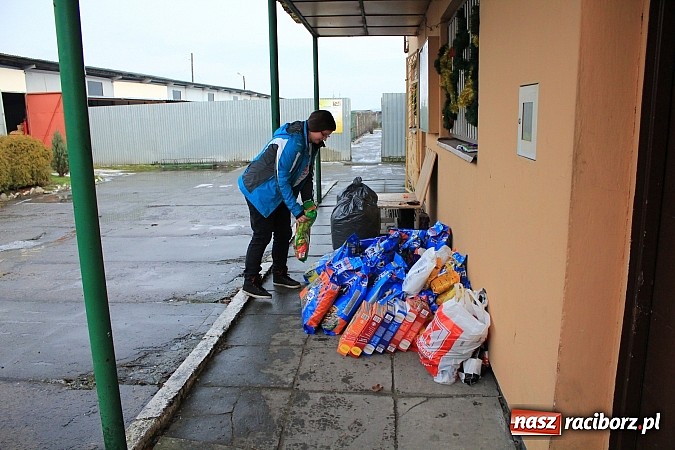 Zdjęcie w galerii na portalu naszraciborz.pl: Raciborzanom nie jest obojętny los zwierząt wiadomości z regionu