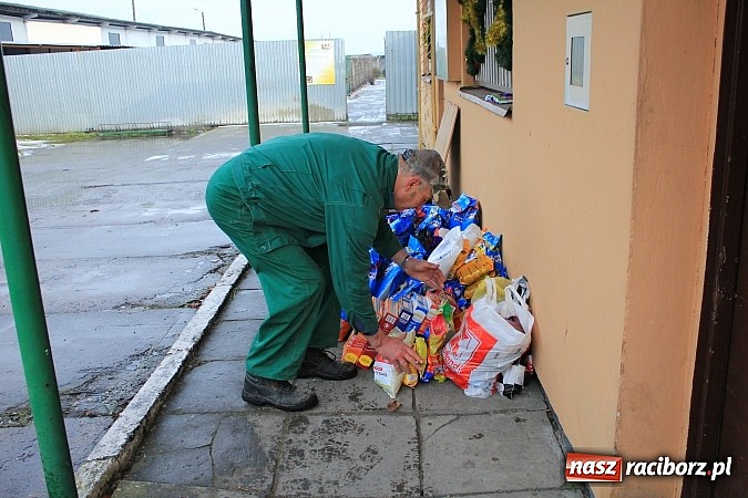 Zdjęcie w galerii na portalu naszraciborz.pl: Raciborzanom nie jest obojętny los zwierząt wiadomości z regionu