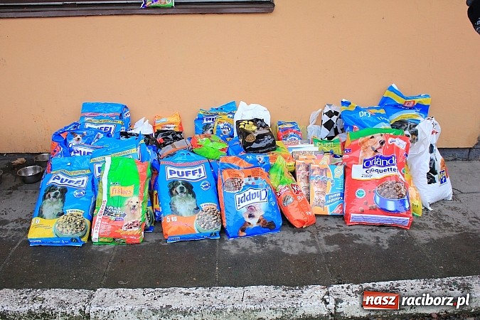 Zdjęcie w galerii na portalu naszraciborz.pl: Raciborzanom nie jest obojętny los zwierząt wiadomości z regionu