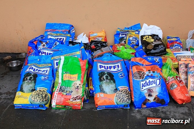 Zdjęcie w galerii na portalu naszraciborz.pl: Raciborzanom nie jest obojętny los zwierząt wiadomości z regionu