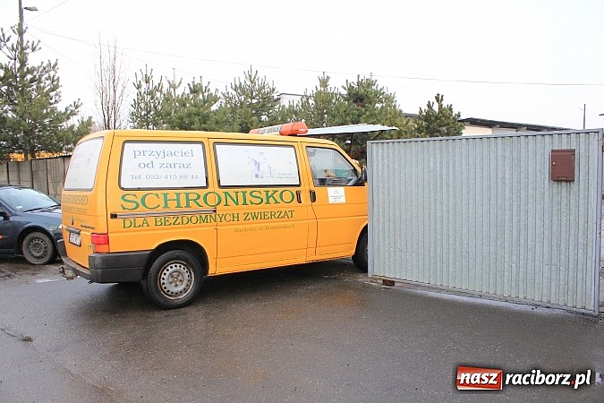 Zdjęcie w galerii na portalu naszraciborz.pl: Raciborzanom nie jest obojętny los zwierząt wiadomości z regionu