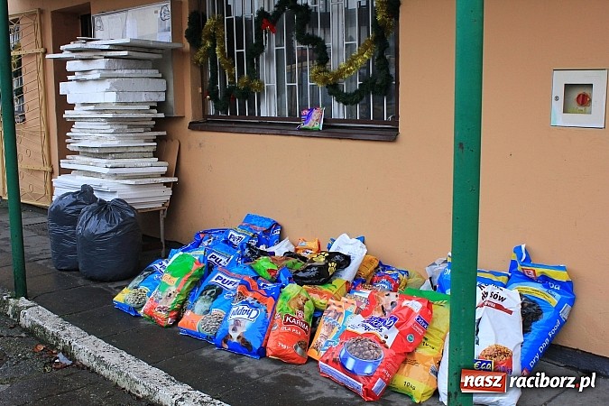 Zdjęcie w galerii na portalu naszraciborz.pl: Raciborzanom nie jest obojętny los zwierząt wiadomości z regionu