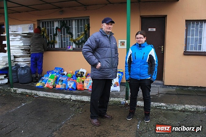Zdjęcie w galerii na portalu naszraciborz.pl: Raciborzanom nie jest obojętny los zwierząt wiadomości z regionu