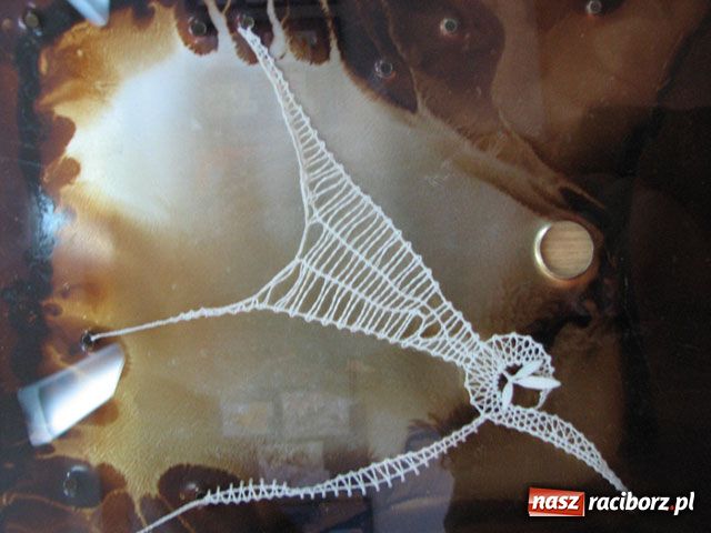 Zdjęcie w galerii na portalu naszraciborz.pl: Dzień Czeski w Bibliotece wiadomości z regionu