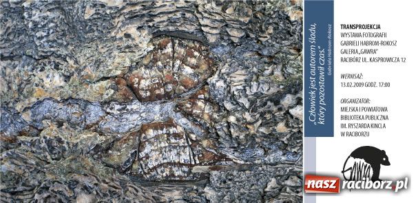 Zdjęcie w galerii na portalu naszraciborz.pl: Maszyny dla stoczniowego giganta wiadomości z regionu