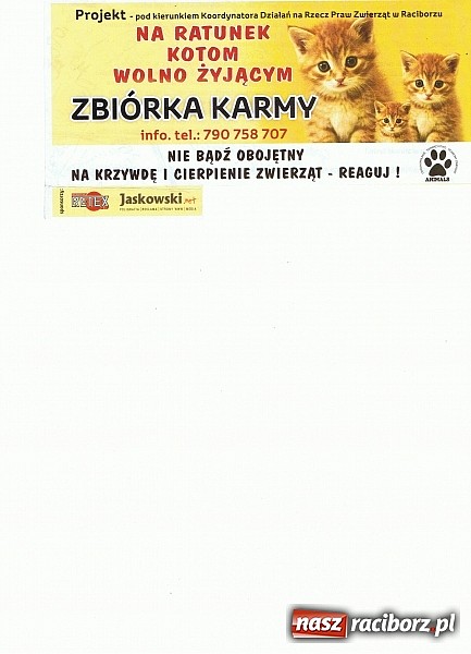 Zdjęcie w galerii na portalu naszraciborz.pl: Na ratunek kotom wolnożyjącym wiadomości z regionu