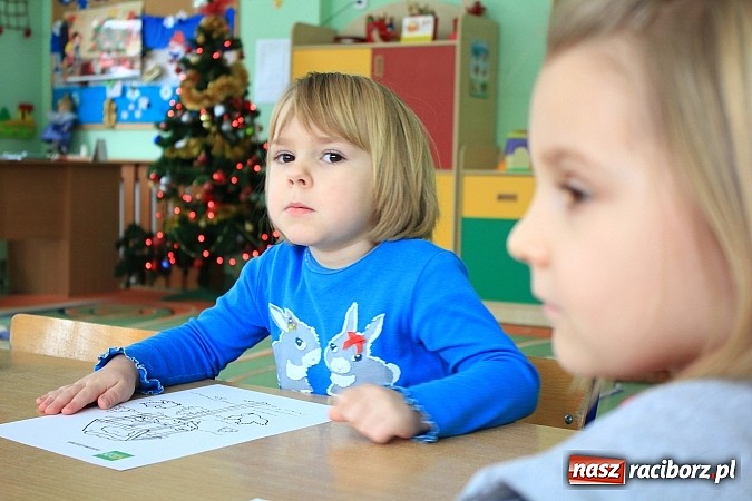 Zdjęcie w galerii na portalu naszraciborz.pl: Jak dokarmiać ptaki zimą? wiadomości z regionu