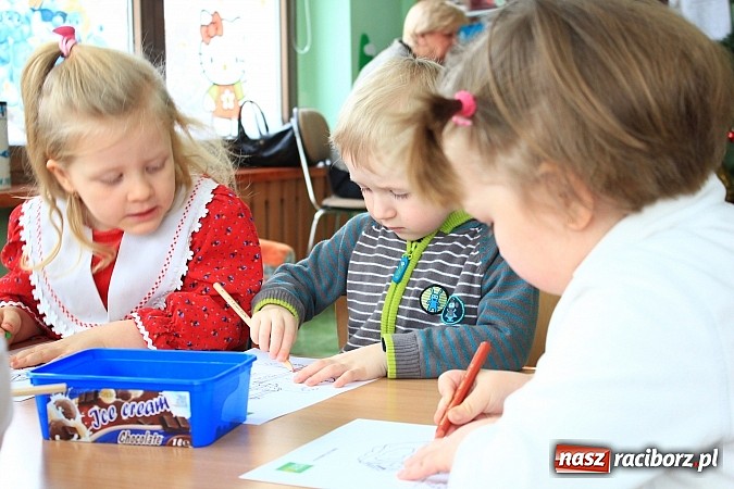 Zdjęcie w galerii na portalu naszraciborz.pl: Jak dokarmiać ptaki zimą? wiadomości z regionu