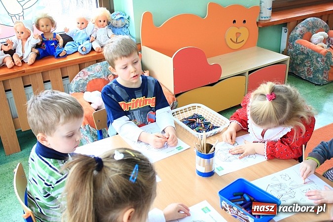 Zdjęcie w galerii na portalu naszraciborz.pl: Jak dokarmiać ptaki zimą? wiadomości z regionu