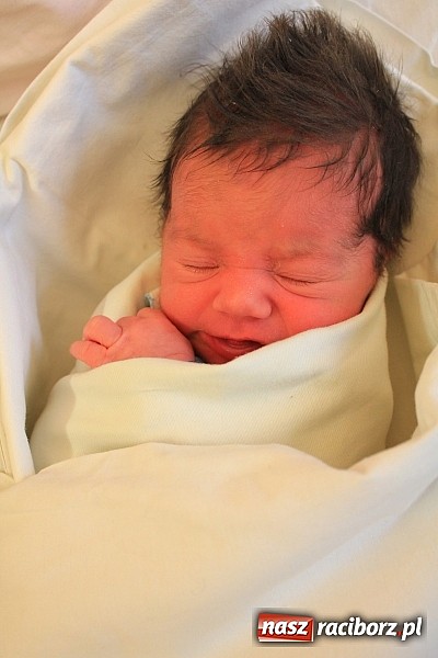 Zdjęcie w galerii na portalu naszraciborz.pl: Marcelina i Grzegorz cieszą się synem Olafem wiadomości z regionu