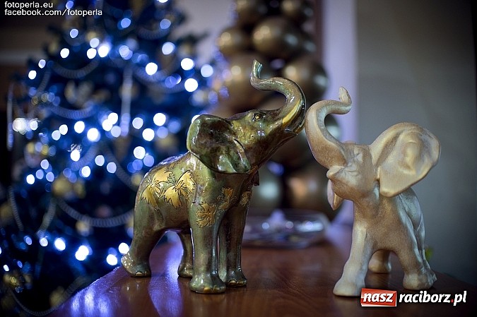 Zdjęcie w galerii na portalu naszraciborz.pl: Maturzyści z Budowlanki bawili się w Bravo wiadomości z regionu