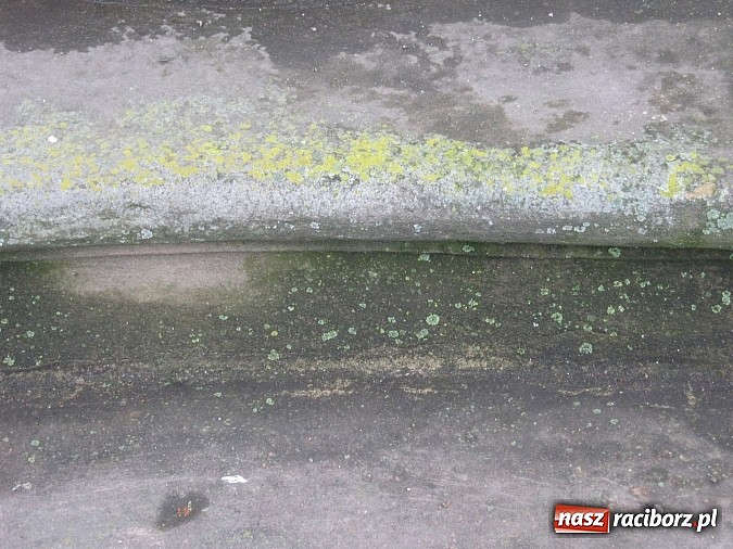 Zdjęcie w galerii na portalu naszraciborz.pl: Niszczeją zabytki w centrum Raciborza wiadomości z regionu