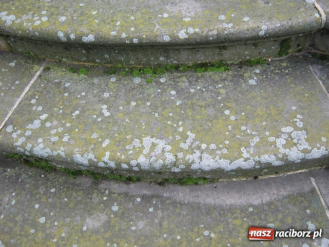 Zdjęcie w galerii na portalu naszraciborz.pl: Niszczeją zabytki w centrum Raciborza wiadomości z regionu