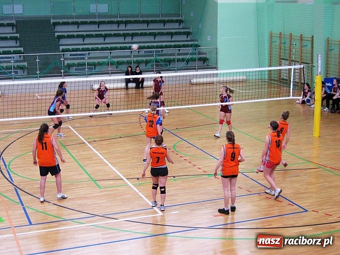 Zdjęcie w galerii na portalu naszraciborz.pl: Siatkarskie zmagania w Arenie Rafako wiadomości z regionu