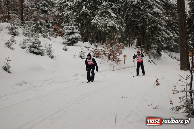Zdjęcie w galerii na portalu naszraciborz.pl:  Rafakowcy biegali na nartach w Zieleńcu wiadomości z regionu