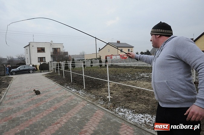 Zdjęcie w galerii na portalu naszraciborz.pl: TANZBR, czyli ostatki w Samborowicach wiadomości z regionu