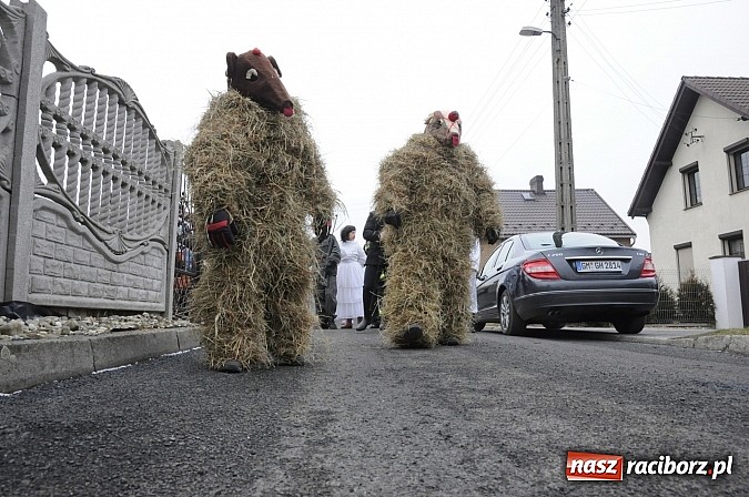 Zdjęcie w galerii na portalu naszraciborz.pl: TANZBR, czyli ostatki w Samborowicach wiadomości z regionu
