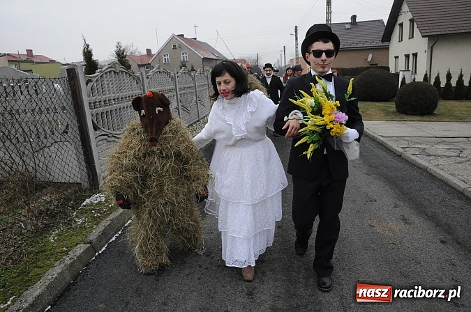 Zdjęcie w galerii na portalu naszraciborz.pl: TANZBR, czyli ostatki w Samborowicach wiadomości z regionu